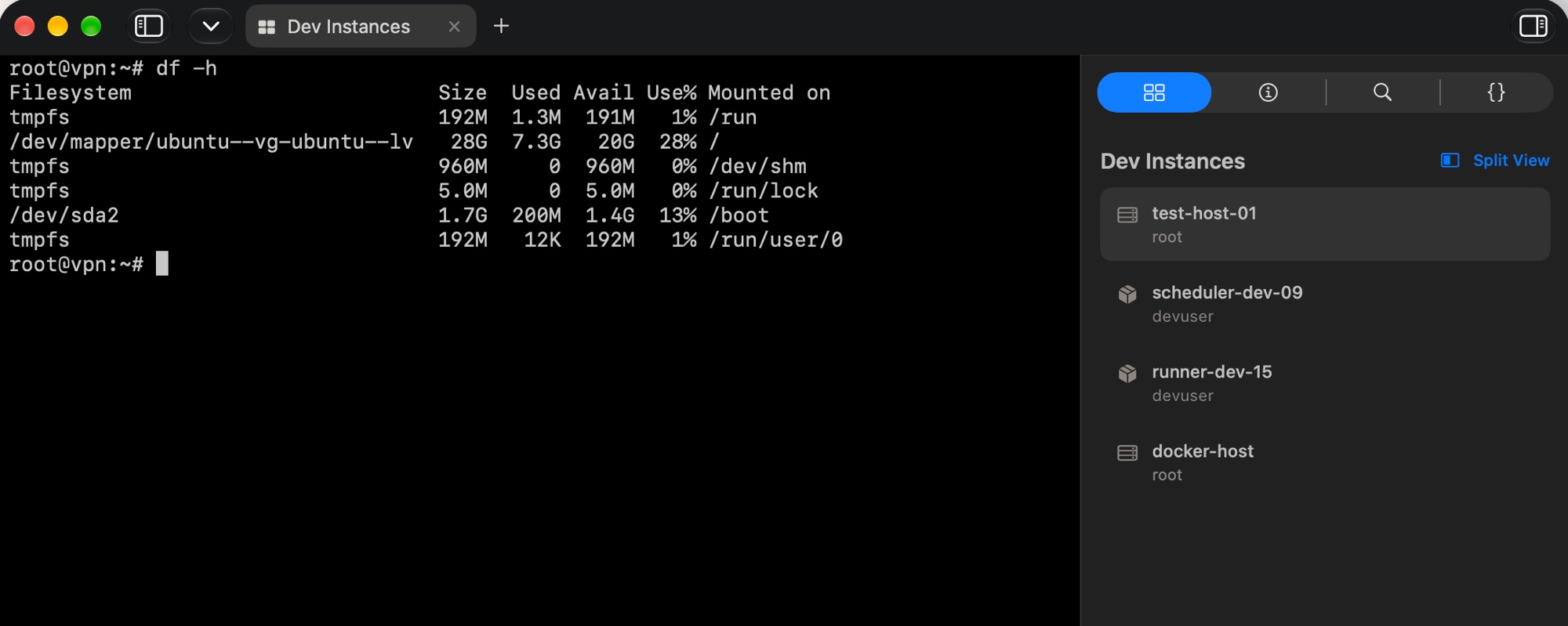 A Dev Instances workspace listing four hosts in the inspector next to an active terminal
